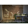 LED Ziemassvētku āra gaismas dekors briedis 3,4W 73x105cm Tuby deer 803-64
