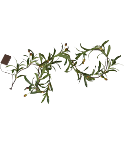 Lampiņu virtene uz baterijām zaļa 20 LED 0,6W 180cm 3xAA Olivec